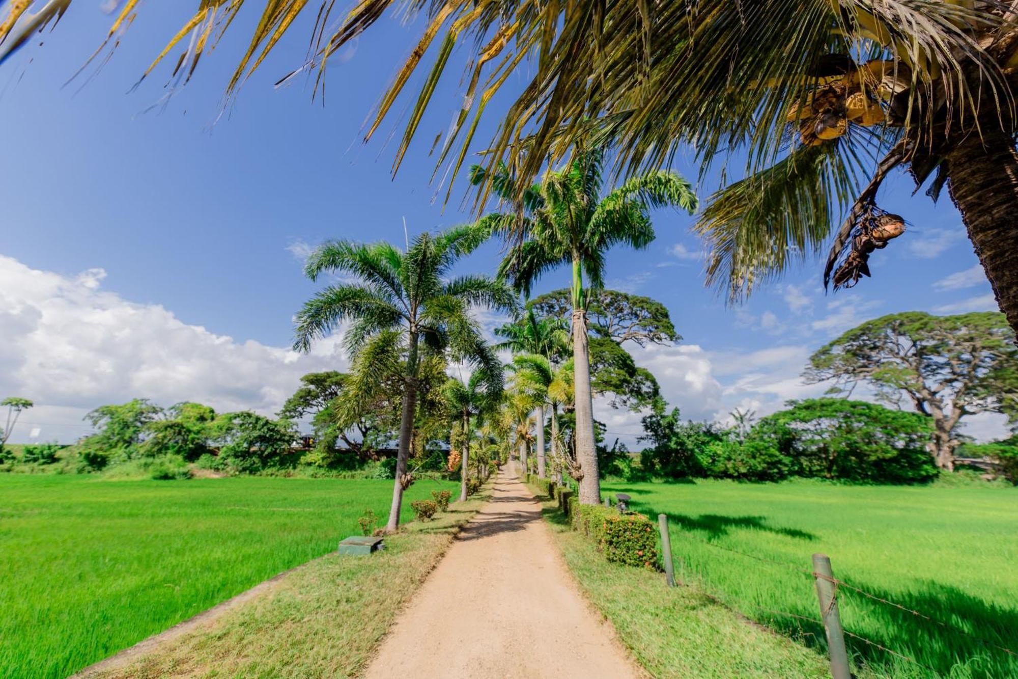 Serene Park Hotel By Ark Tissamaharama Esterno foto